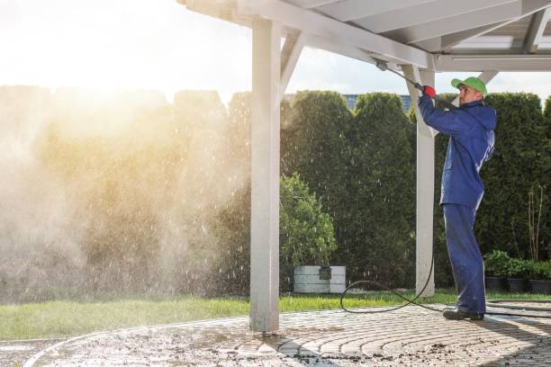 Best Animal Enclosure Cleaning  in Soh Ogden, UT